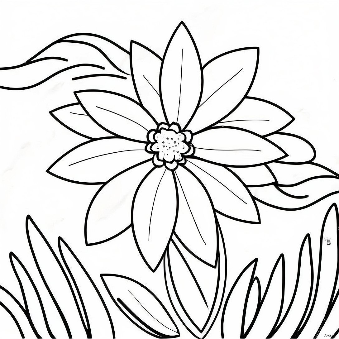 Beautiful Nebraska State Flower In Bloom Coloring Page 43393 36112