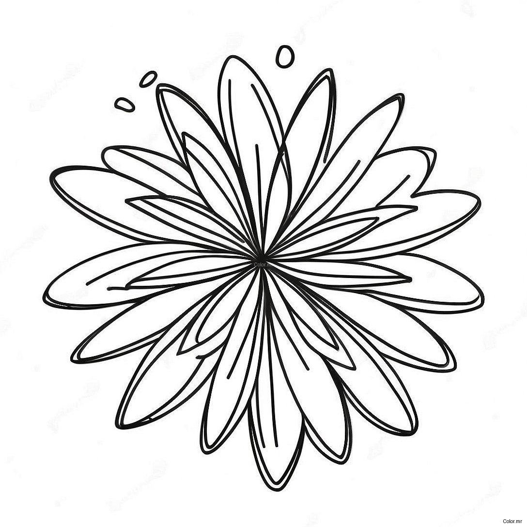 Colorful Fireworks Display Coloring Page 47765 39714