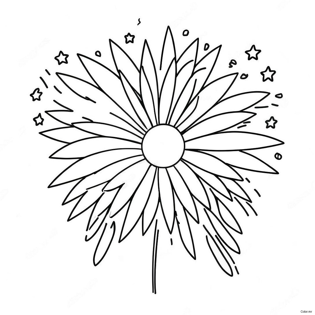 Colorful Fireworks Display Coloring Page 9257 7561