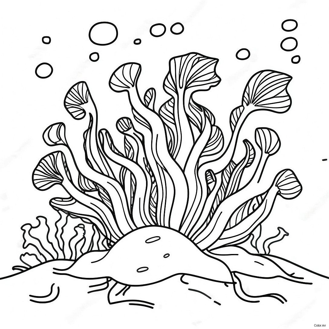 Colorful Seaweed Underwater Scene Coloring Page 24776 22715