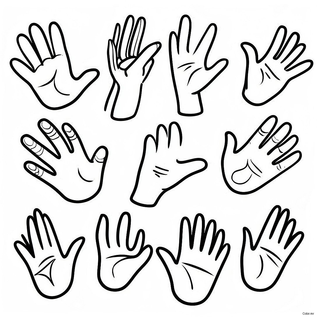 Colorful Sign Language Hand Shapes Coloring Page 24796 22731