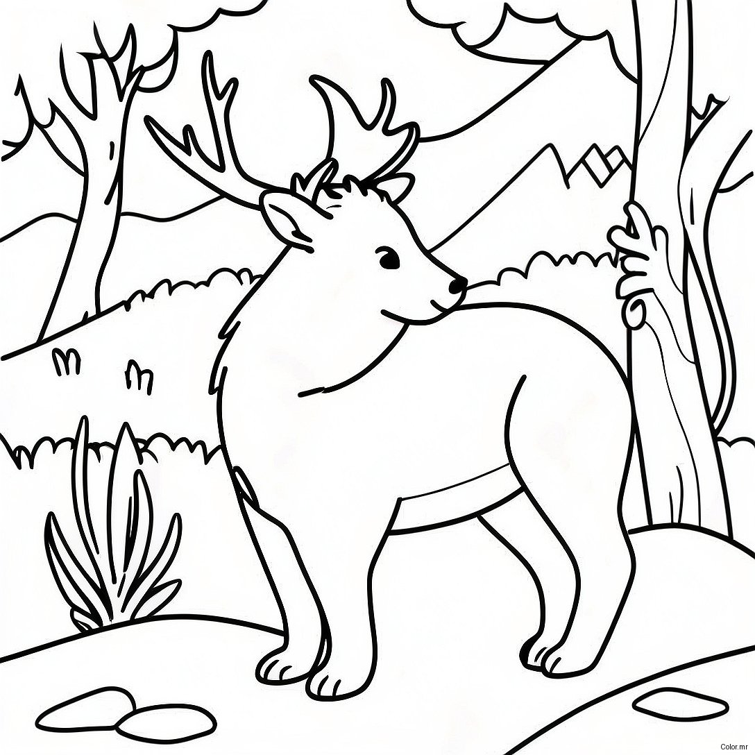 Great Smoky Mountains Wildlife Coloring Page 63530 52567