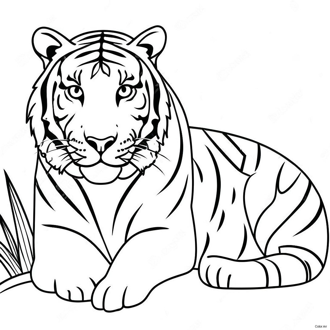 Majestic Endangered Tigers Coloring Page 44163 36730