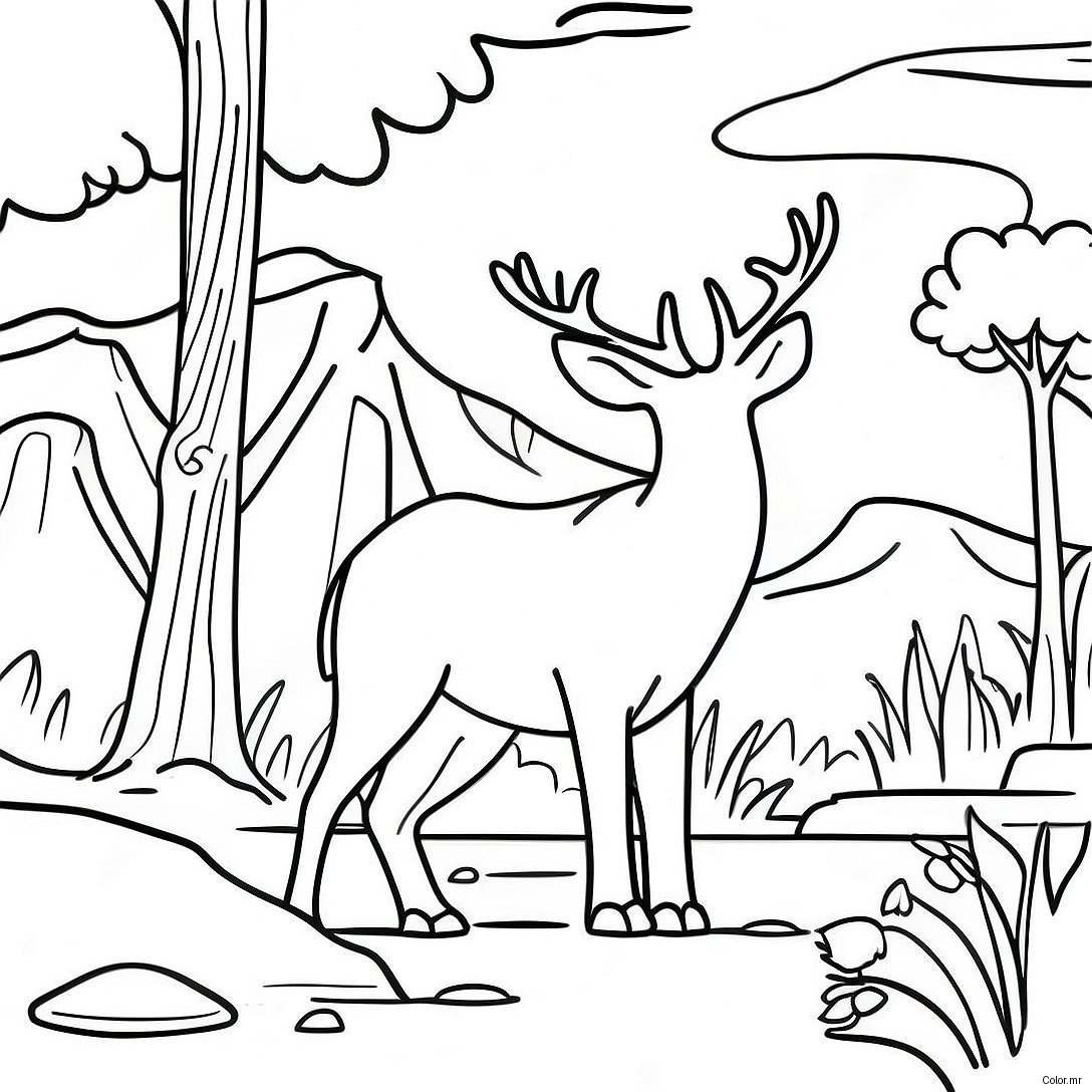 Majestic National Park Wildlife Coloring Page 16182 13657