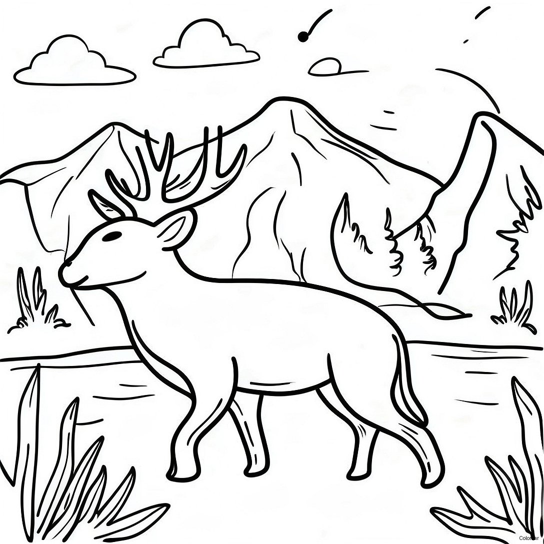 Majestic National Park Wildlife Coloring Page 16182 13660
