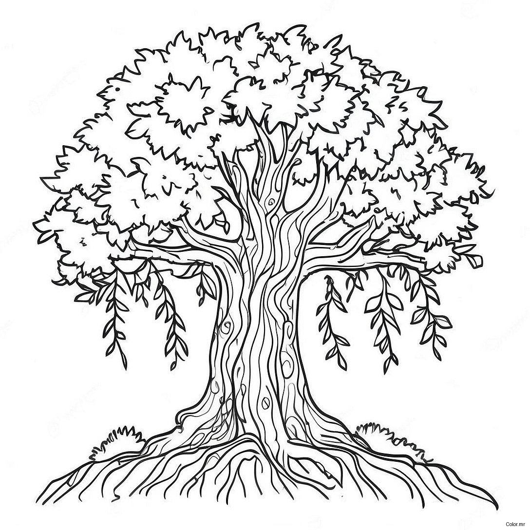 Pagina Para Colorear De Arbol Realista 61966 51364