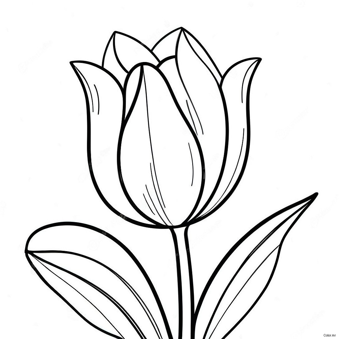 Pagina Para Colorear De Flor De Tulipan Realista 45943 38269