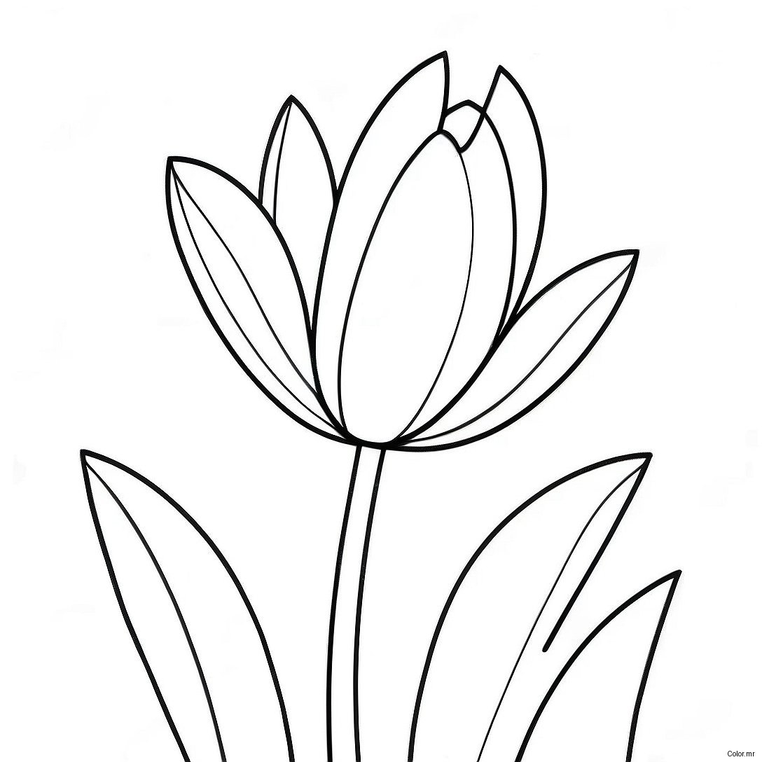 Pagina Para Colorear De Flor De Tulipan Realista 45943 38271