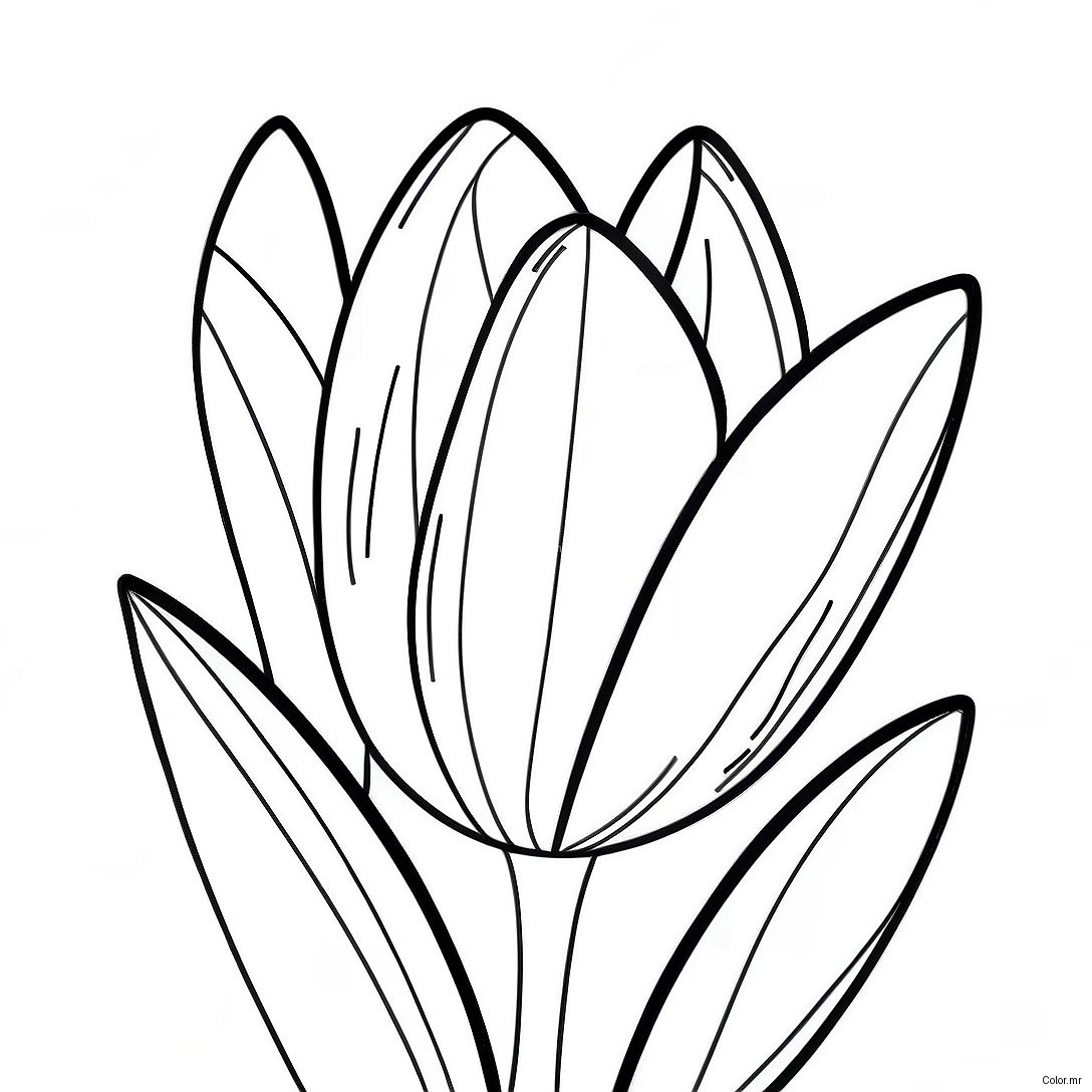Pagina Para Colorear De Flor De Tulipan Realista 45943 38272