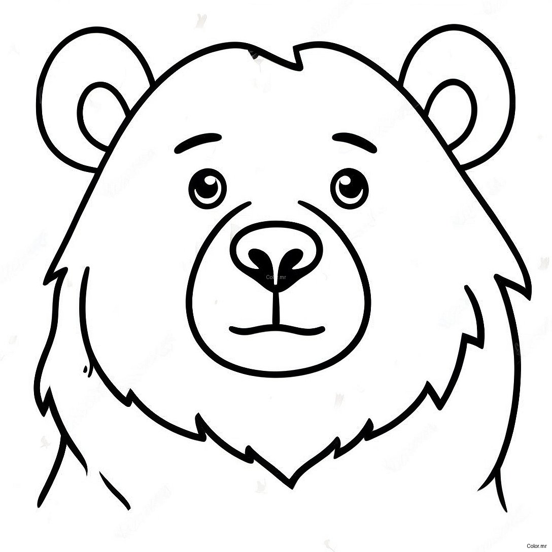 Pagina Para Colorear De Oso Realista 7114 5786