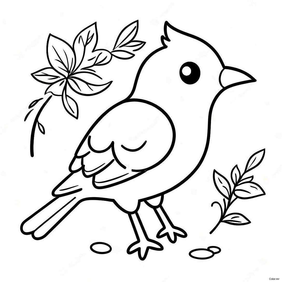 Pagina Para Colorear De Pajaros Realistas 5583 4458