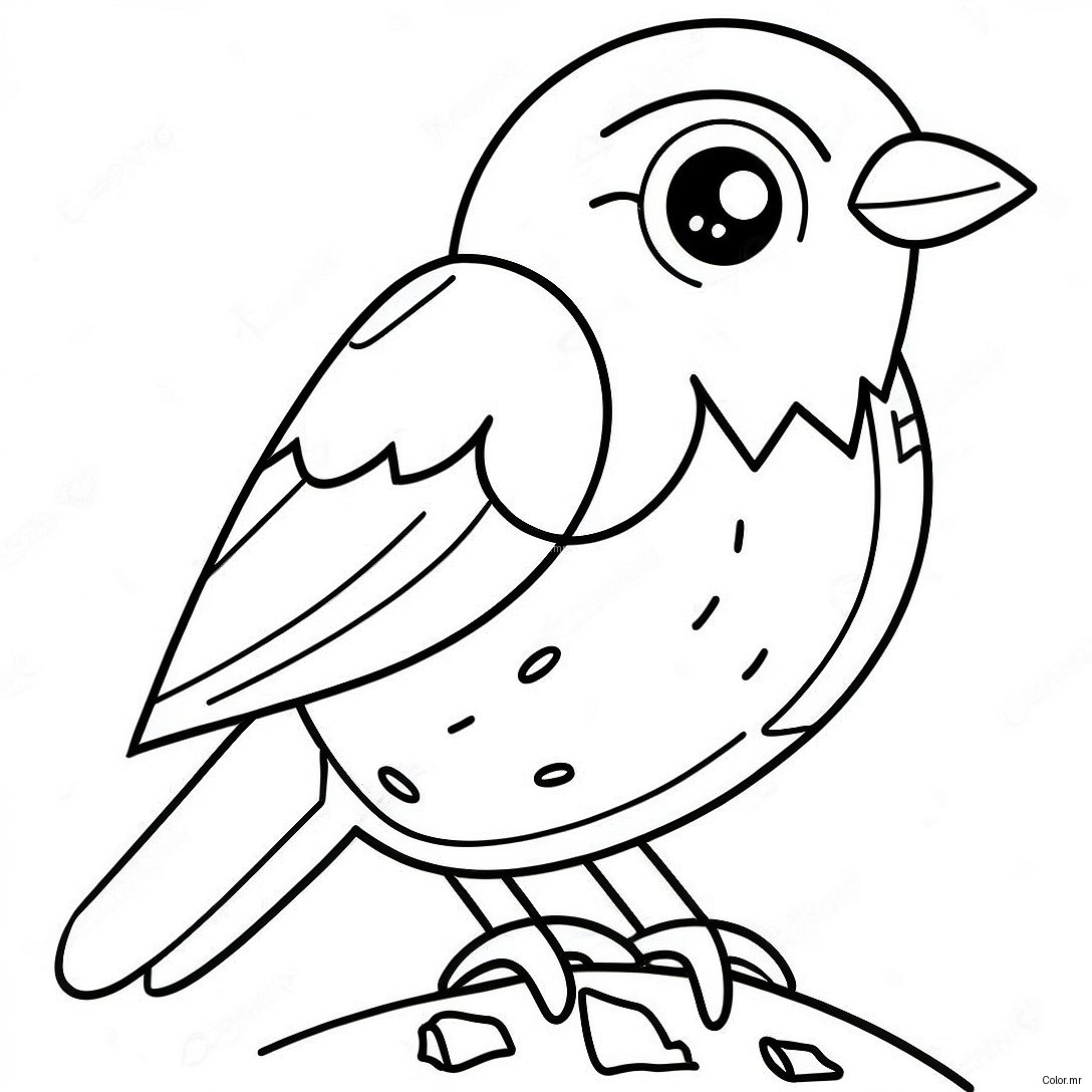 Pagina Para Colorear De Pajaros Realistas 5583 4460