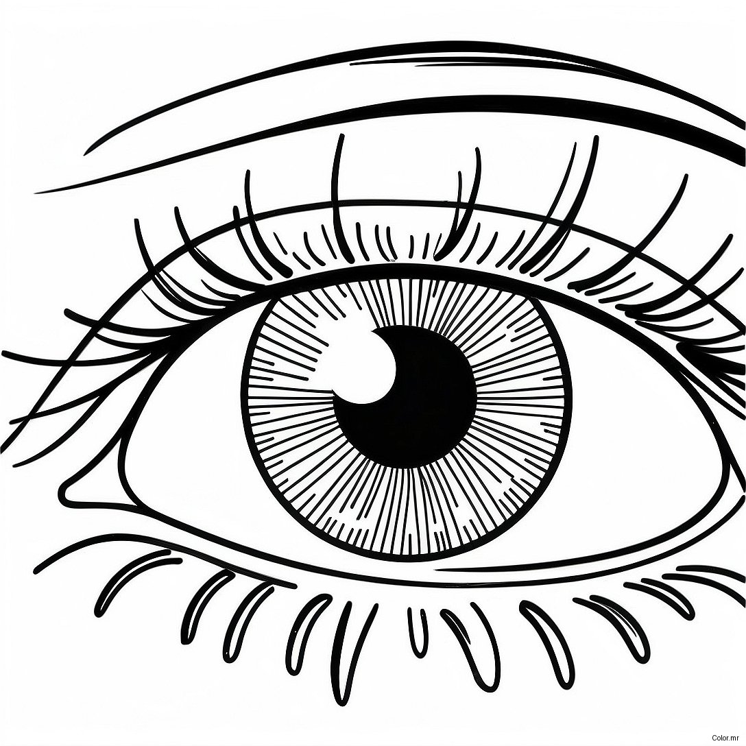 Pagina Para Colorear De Primer Plano De Ojo Realista 17435 14641