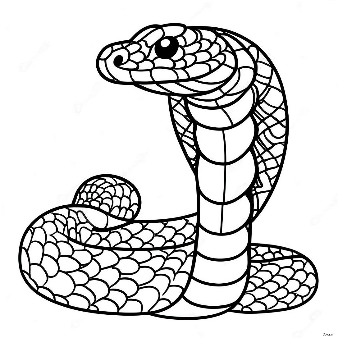 Pagina Para Colorear De Serpiente De Cascabel Realista 26813 24510
