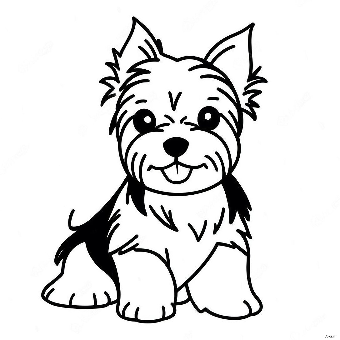 Pagina Para Colorear De Un Cachorro Yorkie Realista 21482 19793
