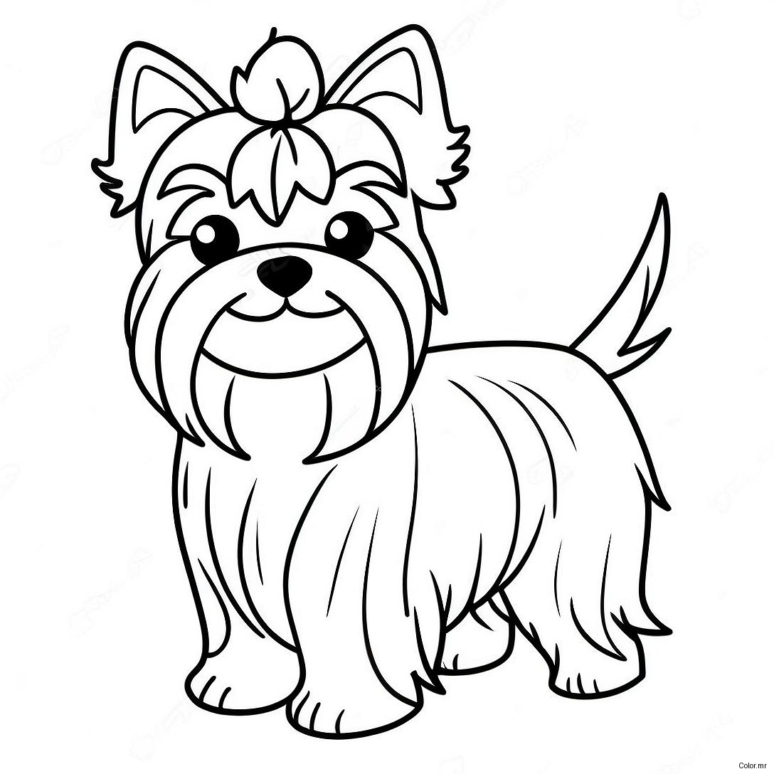 Pagina Para Colorear De Un Yorkie Esponjoso Y Realista 21483 19944