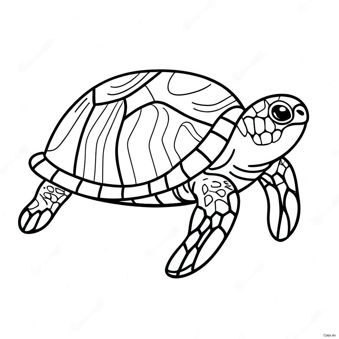 Pagina Para Colorear De Una Tortuga Marina Realista Nadando 62858 52043
