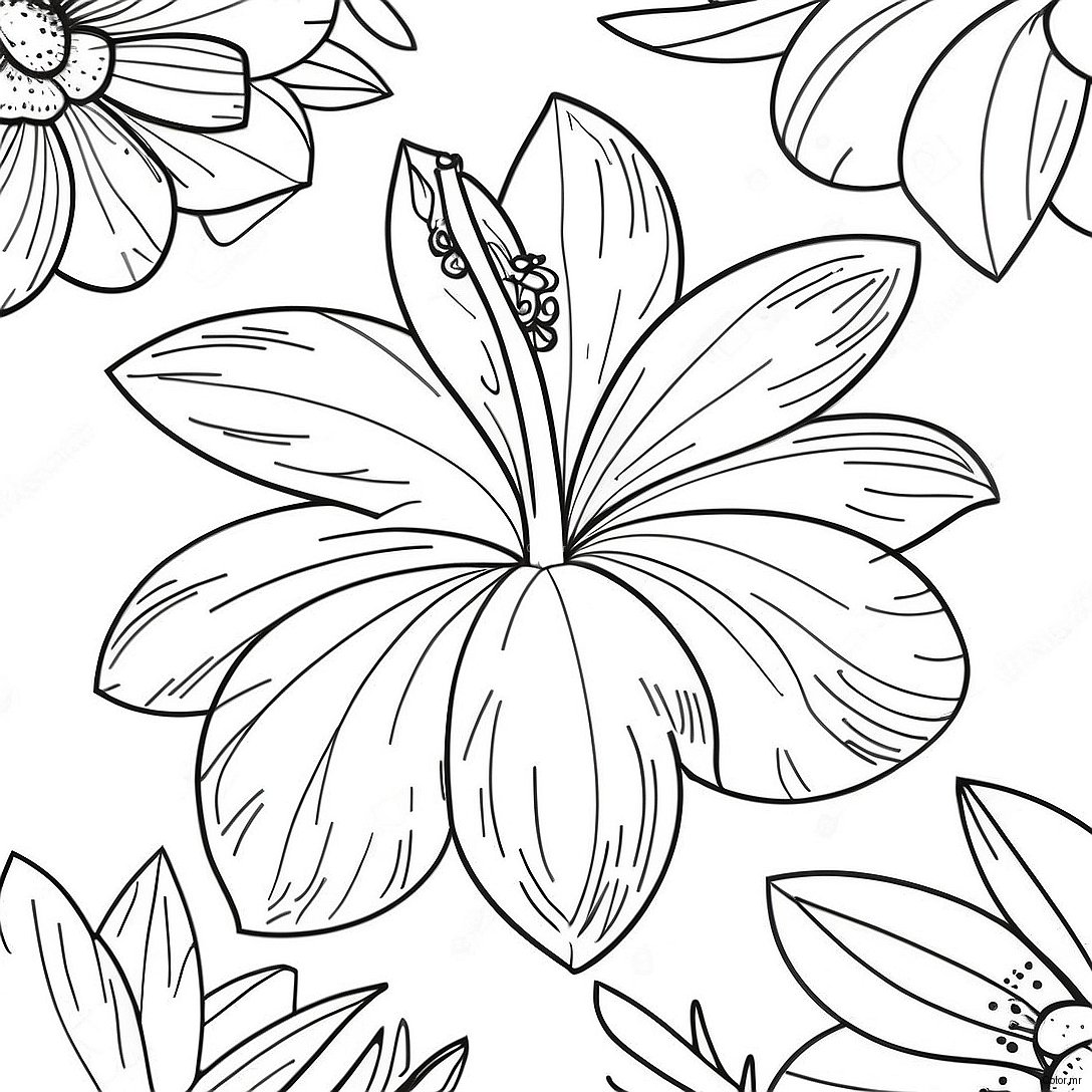 Pagina Para Colorear Realista De Flor Tropical 46283 38548