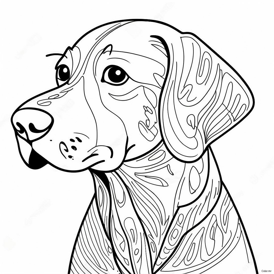 Playful German Shorthaired Pointer Coloring Page 66131 54625