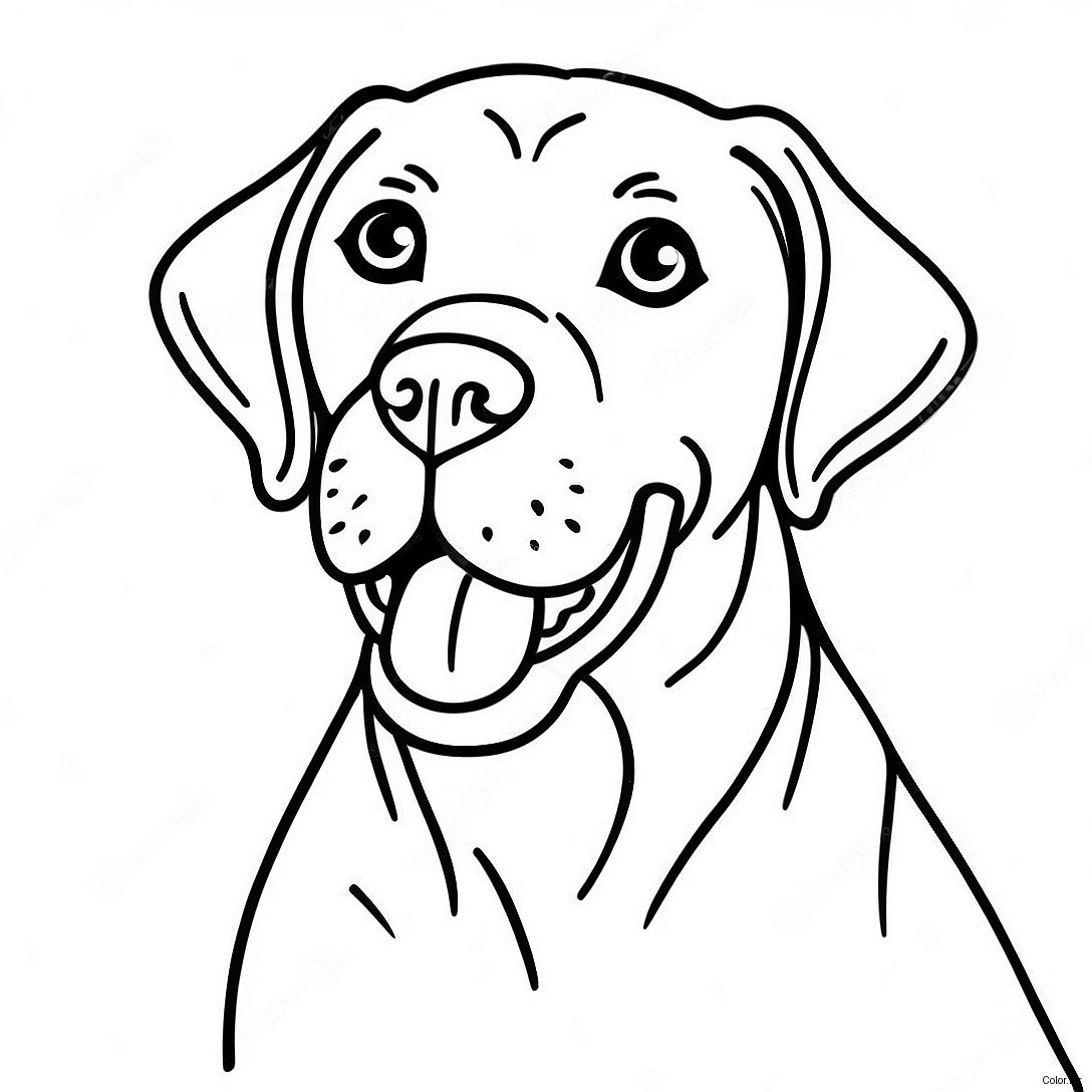 Playful German Shorthaired Pointer Coloring Page 66131 54627