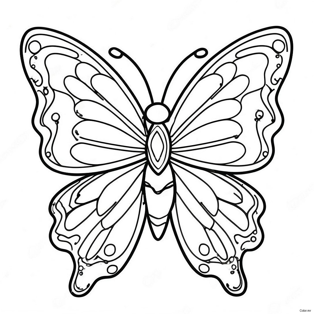 Vibrant Butterfly Transformation Coloring Page 14820 12249