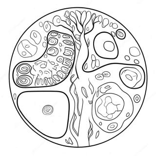 Pagina Para Colorear De Diagrama De Celula Vegetal 10817-8866