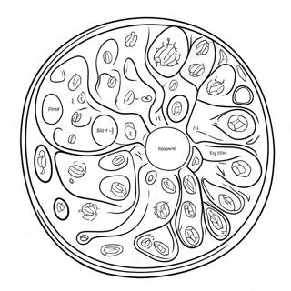 Pagina Para Colorear De Diagrama De Celula Vegetal 10817-8867