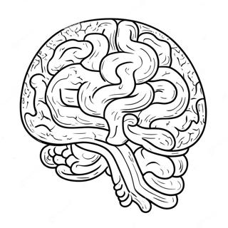 Pagina Para Colorear De Hoja De Cerebro 11717-9594