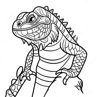 Pagina Para Colorear De Iguana 13608-11278