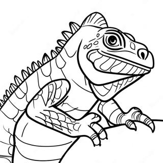 Pagina Para Colorear De Iguana 13608-11279