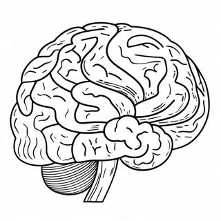 Pagina Para Colorear De Cerebro Divertido Del Tdah 16713-14075