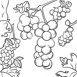 Pagina Para Colorear De Uvas Jugosas En Un Vinedo 17325-14554