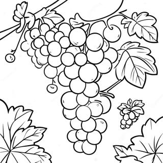 Pagina Para Colorear De Uvas Jugosas En Un Vinedo 17325-14556