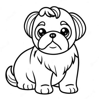 Pagina Para Colorear Cachorro Shih Tzu 19318-16142