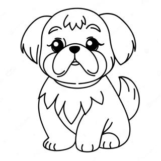 Pagina Para Colorear Cachorro Shih Tzu 19318-16144