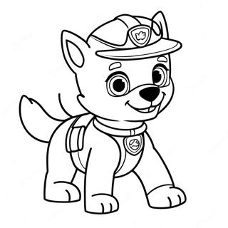 Pagina Para Colorear De Rocky De Paw Patrol En Accion 20783-19241