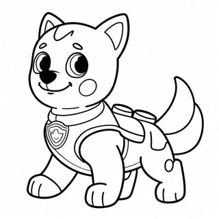 Pagina Para Colorear De Rocky De Paw Patrol En Accion 20783-19242