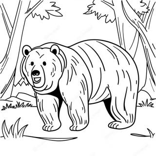 Pagina Para Colorear De Un Oso Grizzly 22223-20522