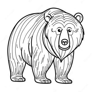 Pagina Para Colorear De Un Oso Grizzly 22223-20523