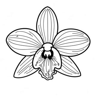 Pagina Para Colorear De Hermosa Flor De Orquidea 22434-20696