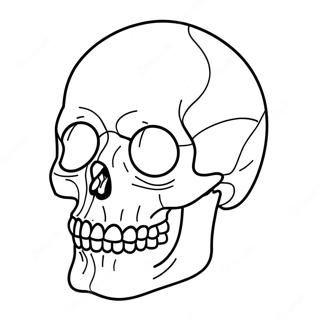 Pagina Para Colorear De Diagrama De Calavera En Blanco 23153-21260