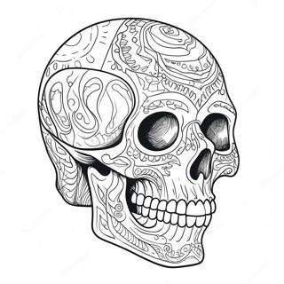 Pagina Para Colorear De Anatomia Detallada De Calavera 23154-21262