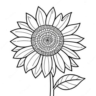 Pagina Para Colorear De Girasol Brillante 24836-22762