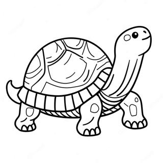 Tortuga Páginas Para Colorear