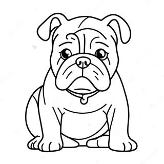 Bulldog Páginas Para Colorear