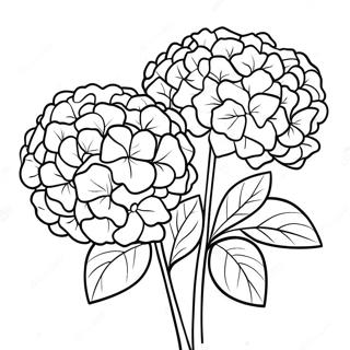 Pagina Para Colorear Hermoso Ramo De Hortensias 36184-30181