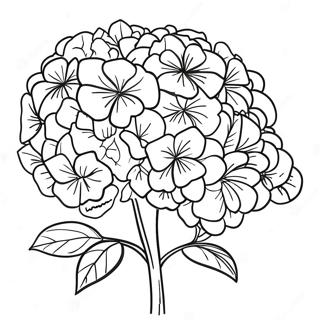 Pagina Para Colorear Hermoso Ramo De Hortensias 36184-30183