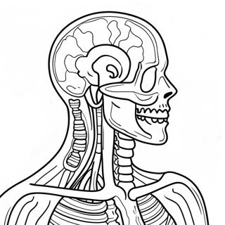 Pagina Para Colorear De Anatomia Y Fisiologia 37505-31232