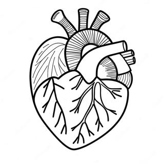 Pagina Para Colorear De Anatomia Del Corazon 3950-3194