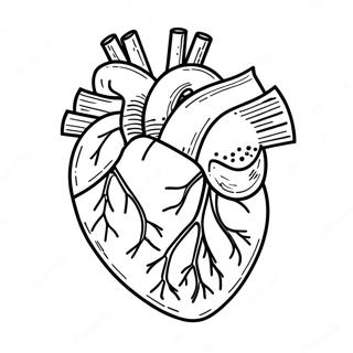 Pagina Para Colorear De Anatomia Del Corazon 3950-3195